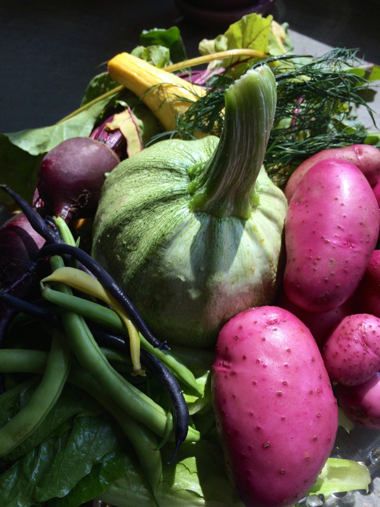 farmers market cornicopia