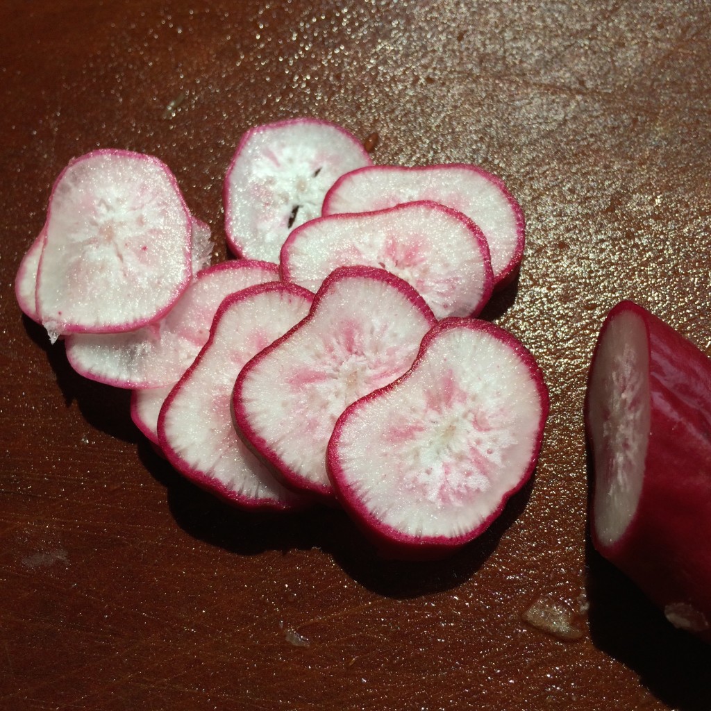 french radishes